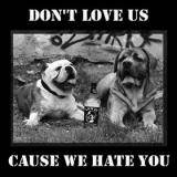 Unfit : Don't Love Us Cause We Hate You